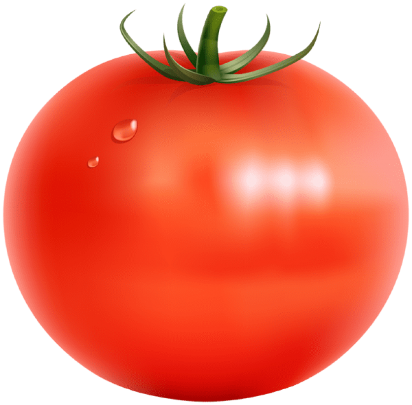 tomato